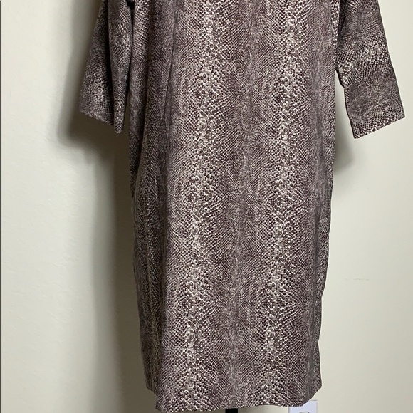 Zara Dress - Picture 10 of 12